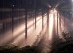 Seelen Frieden