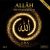 ALLAH – Die Hymnophonie, op.1 (Büchlein mit Dikhr-CD)