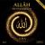 ALLAH – Die Hymnophonie, op.1 (Büchlein mit Dikhr-CD)