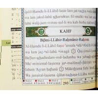 Quran / Koran Tajweed mit Lesestift / Read Pen (arab./deutsch) (leichte Mängel am Einband)