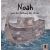 Noah und die Rettung der Arche