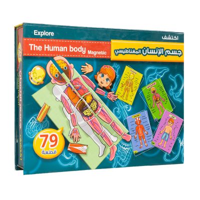 Der menschliche Körper - Magnetische Teile