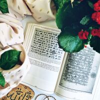 Die Geschichte des Qurans - Von der Offenbarung bis zur Zusammenstellung des Qurantextes
